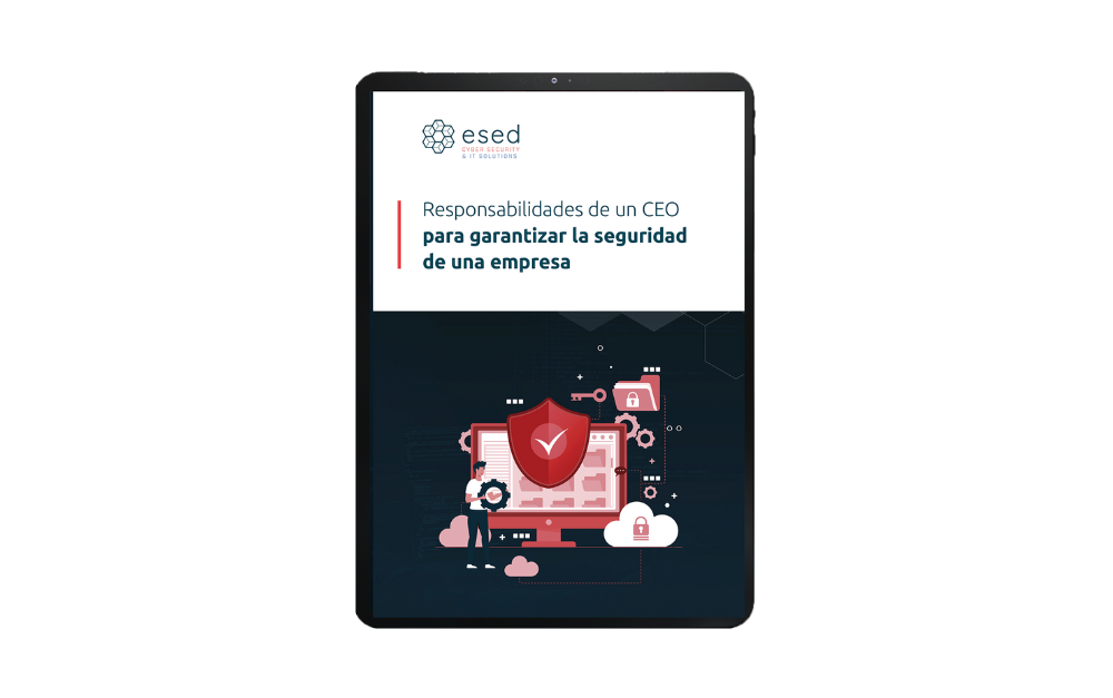 CEO responsabilidades - cover